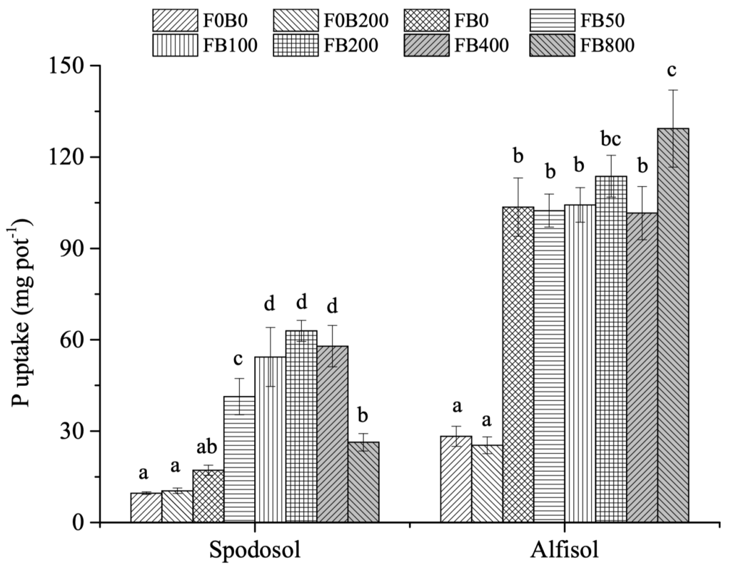 Phosphorus uptake figure from the historical corn study